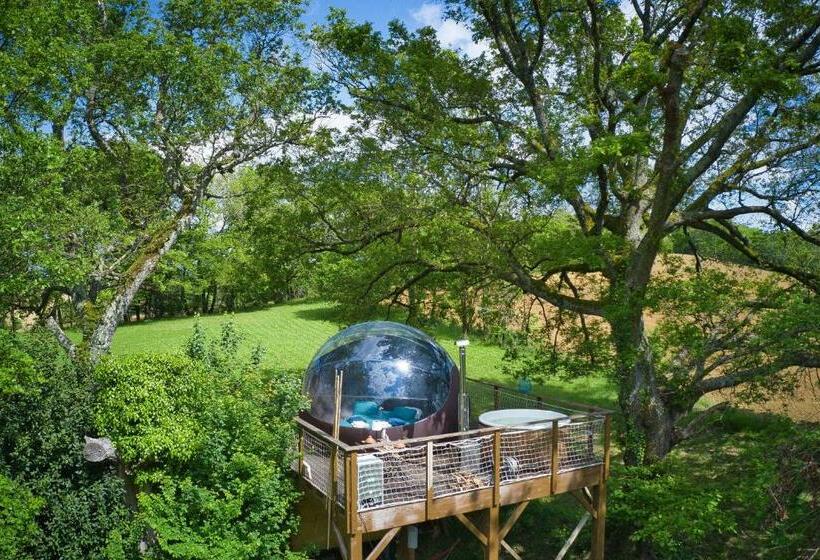 Bed and Breakfast Les Bulles Perchées De Lartigue