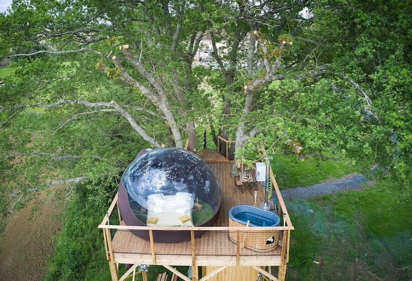 Bed and Breakfast Les Bulles Perchées De Lartigue