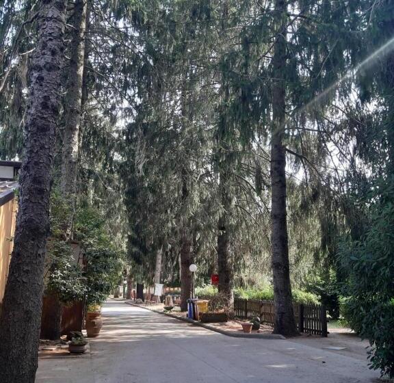 酒店 Agriturismo Iacchelli Armando B&b