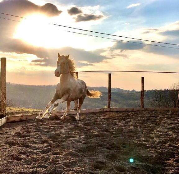 فندق Agriturismo E Maneggio Poggio Leone