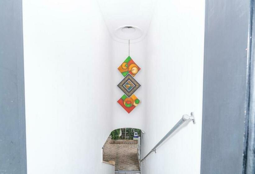 호텔 Tree House Medellin