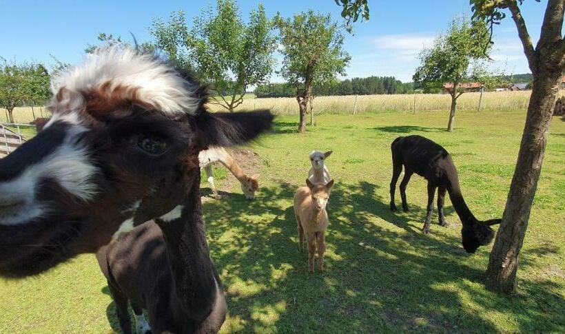 Отель Beim Lenglacher