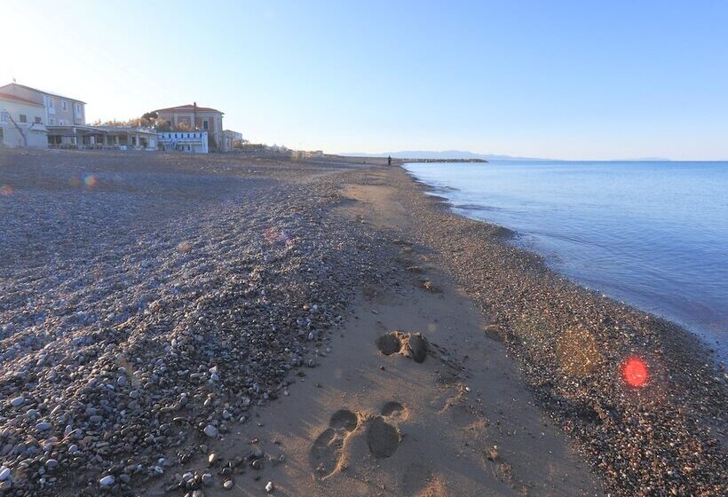Отель Cecina Beach