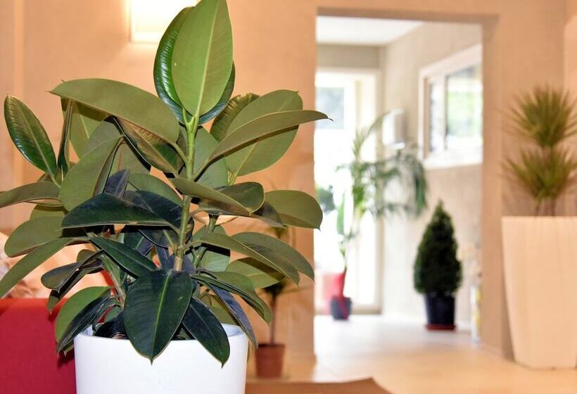 Отель Cecina Beach