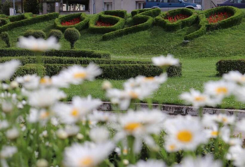 ホテル Complex Freya S   All Inclusive Light