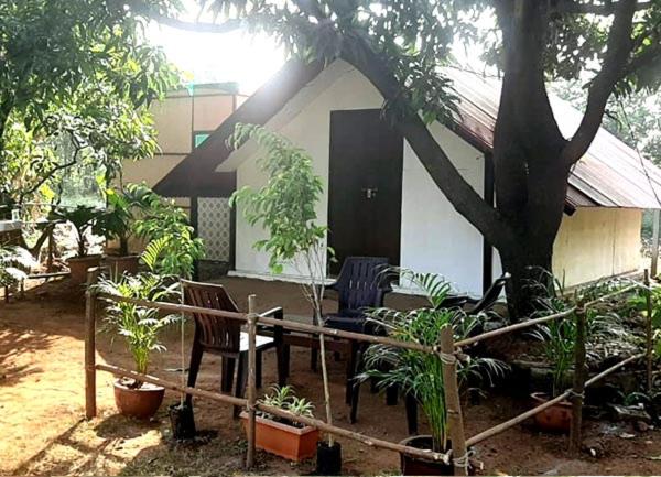 בית מלון כפרי Green Environment Stay