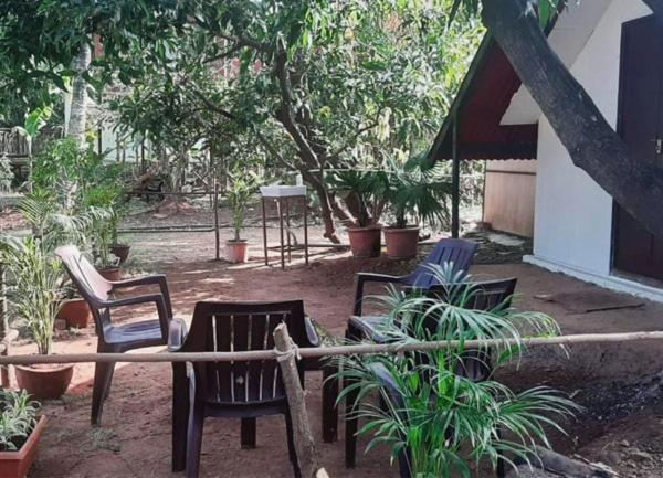 בית מלון כפרי Green Environment Stay