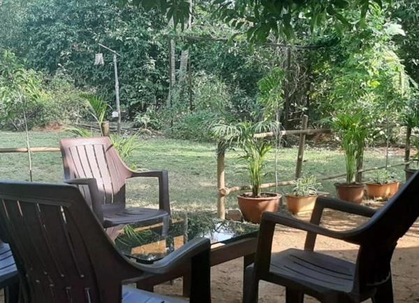 בית מלון כפרי Green Environment Stay