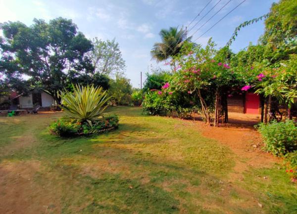 בית מלון כפרי Green Environment Stay