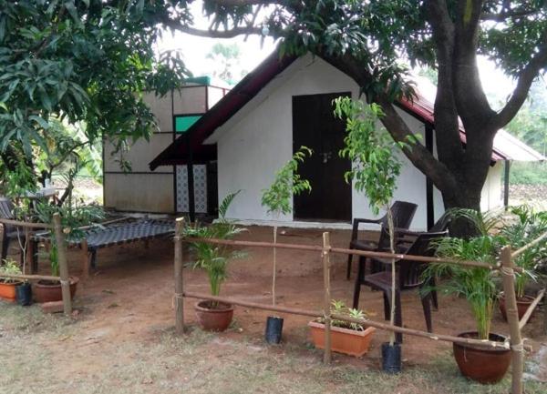 בית מלון כפרי Green Environment Stay