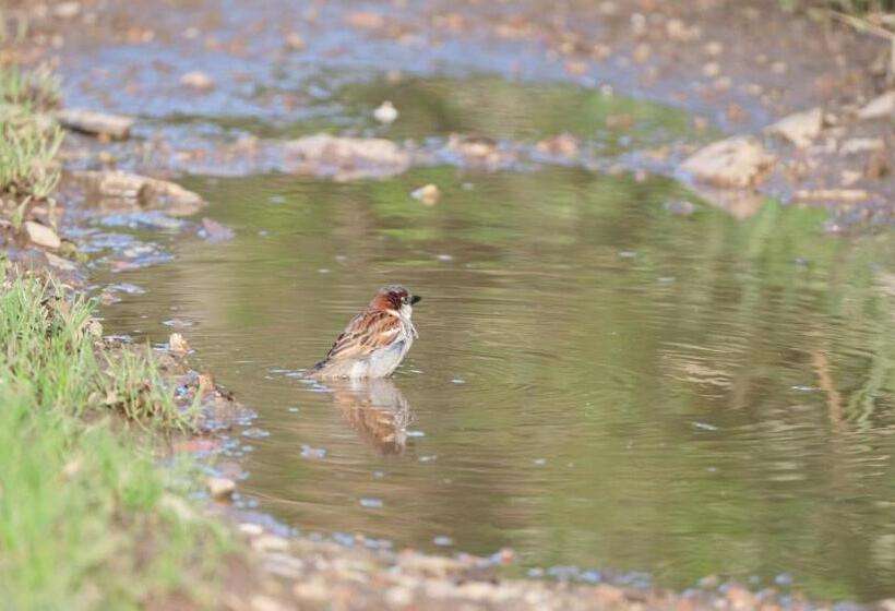 هتل La Casa De Las Camelias