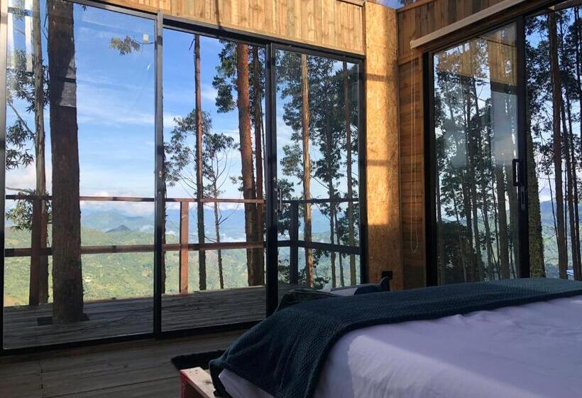 Отель Latibule Glamping