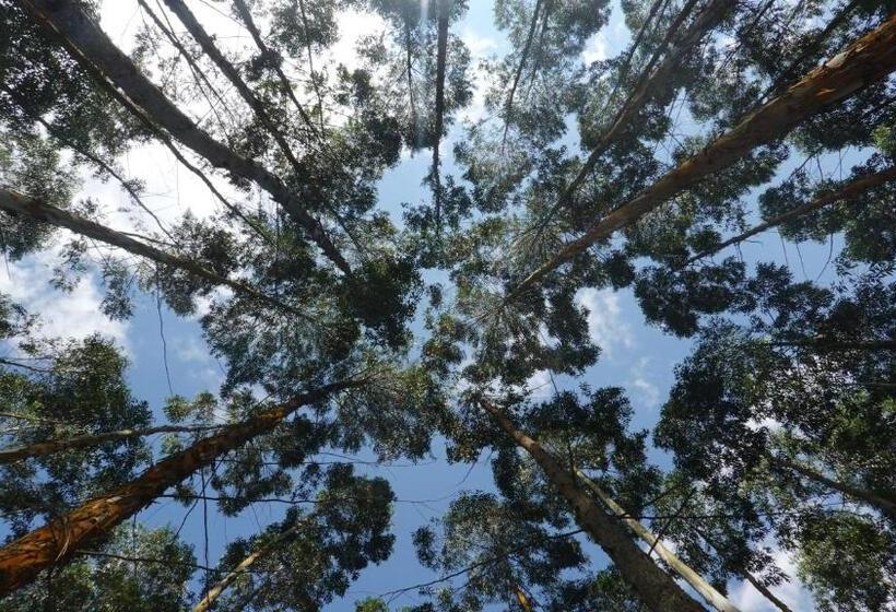 Отель Latibule Glamping