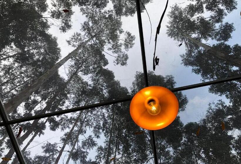 Отель Latibule Glamping