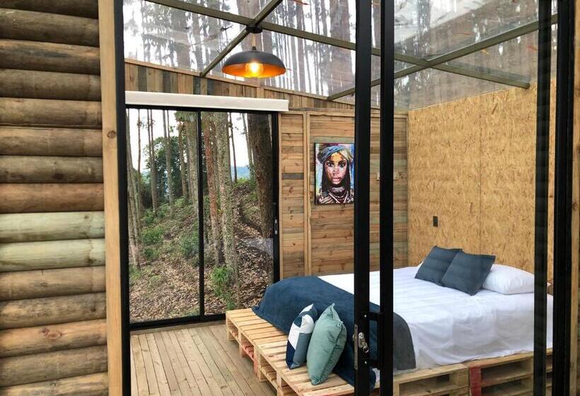 Отель Latibule Glamping