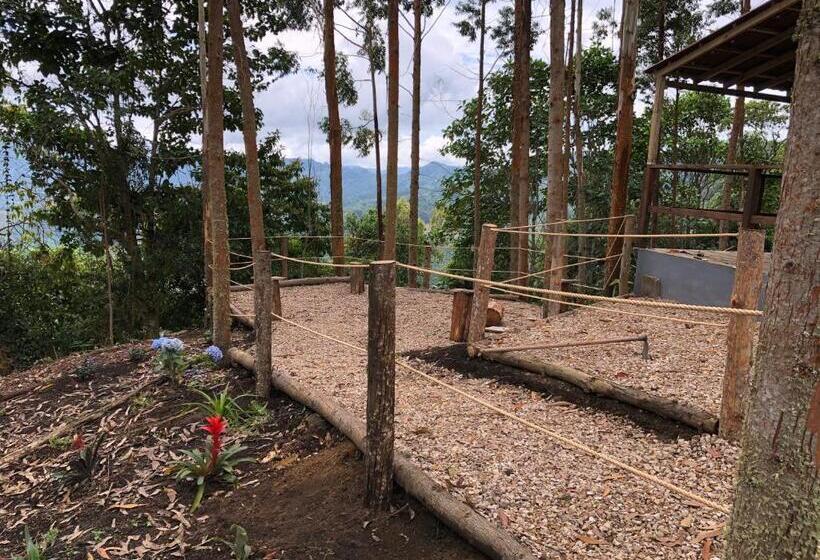 Отель Latibule Glamping