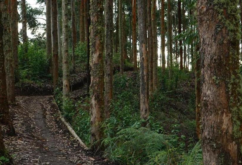 Отель Latibule Glamping