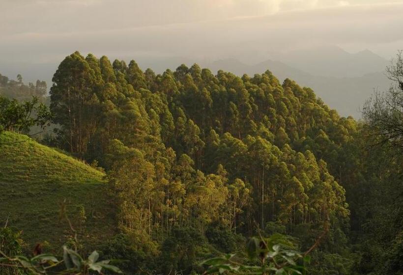 Отель Latibule Glamping