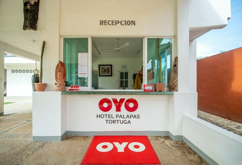 ホテル Palapas Tortuga
