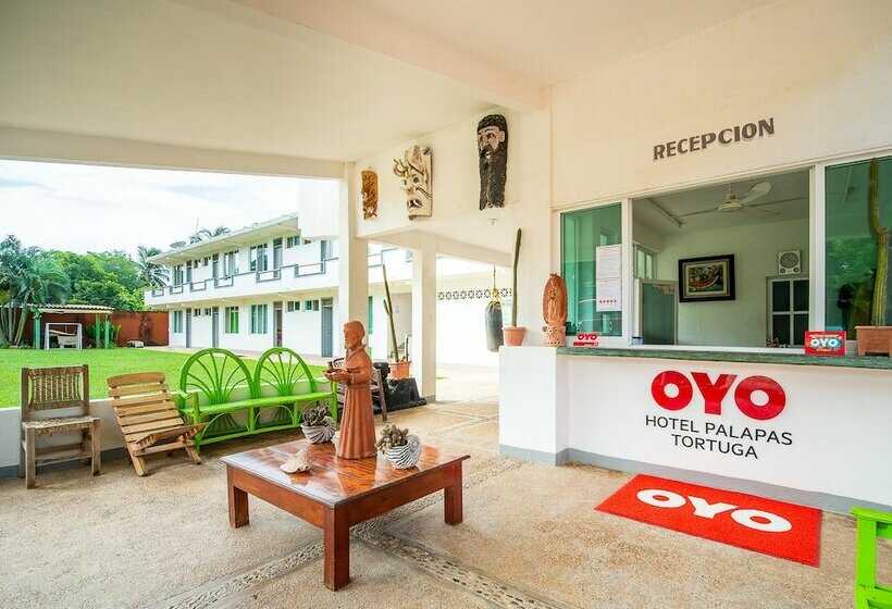 בית מלון כפרי Palapas Tortuga