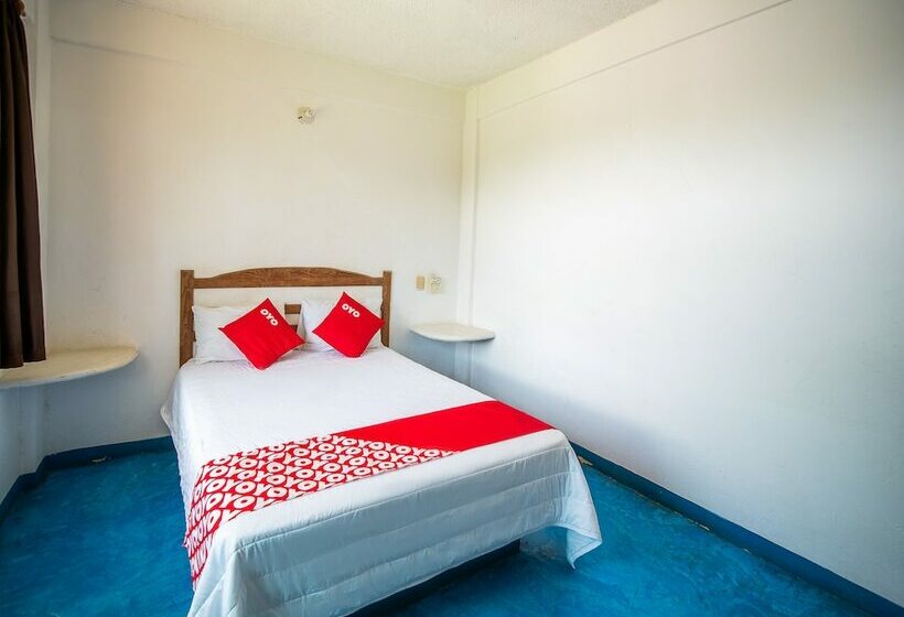 ホテル Palapas Tortuga