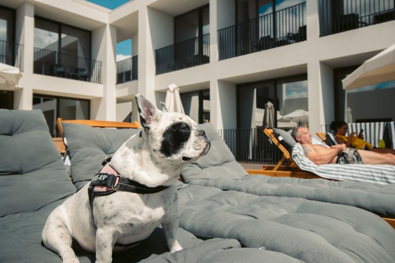 هتل évora O Cante