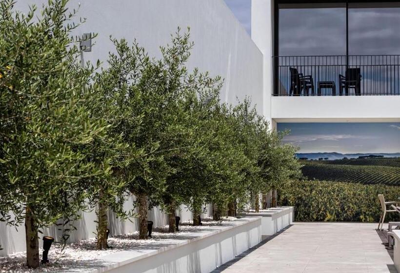 هتل évora O Cante