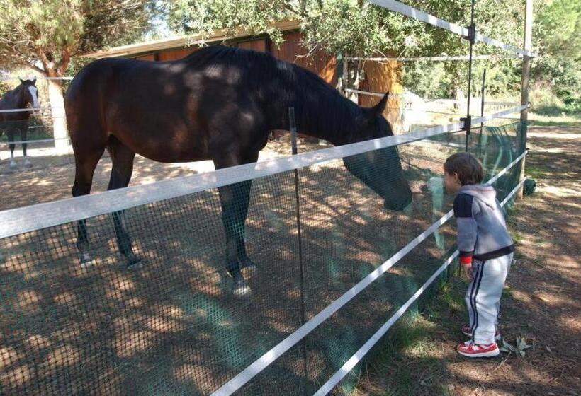 Отель Tenuta Don Monaco   Agriturismo