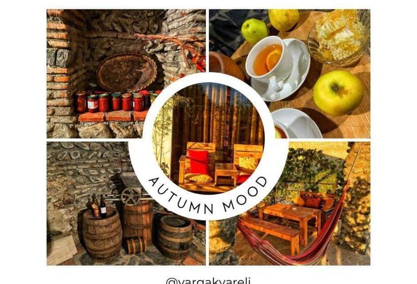 هتل Varga Kvareli