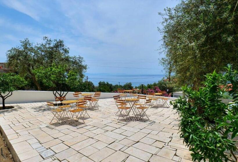 בית מלון כפרי White