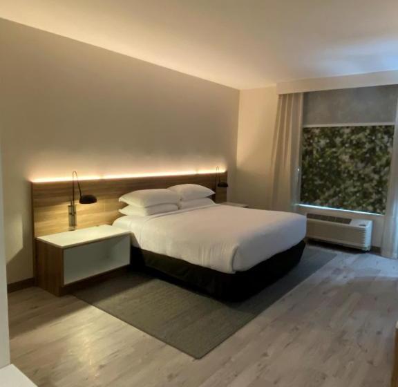 فندق Wyndham Garden Orlando Airport   Free Airport Shuttle