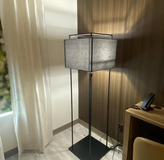 فندق Wyndham Garden Orlando Airport   Free Airport Shuttle