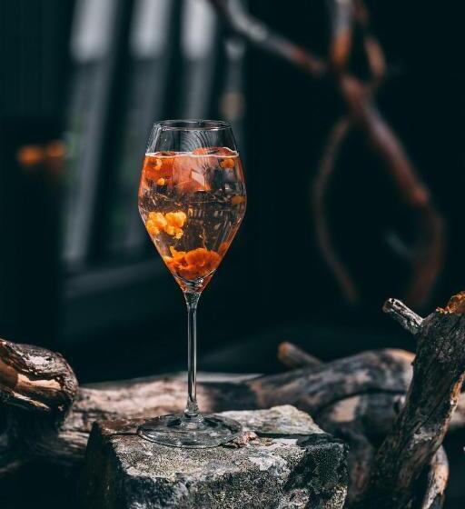 Lapland Hotels Arena