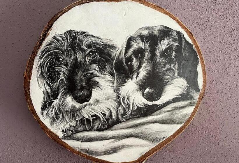 Noi Due Bed & Breakfast Nel Monferrato