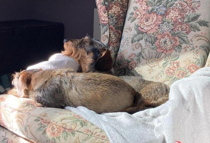 Noi Due Bed & Breakfast Nel Monferrato