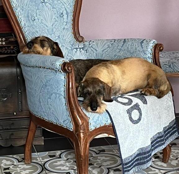 Noi Due Bed & Breakfast Nel Monferrato