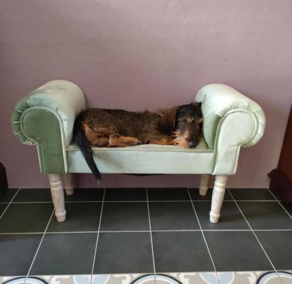 Noi Due Bed & Breakfast Nel Monferrato