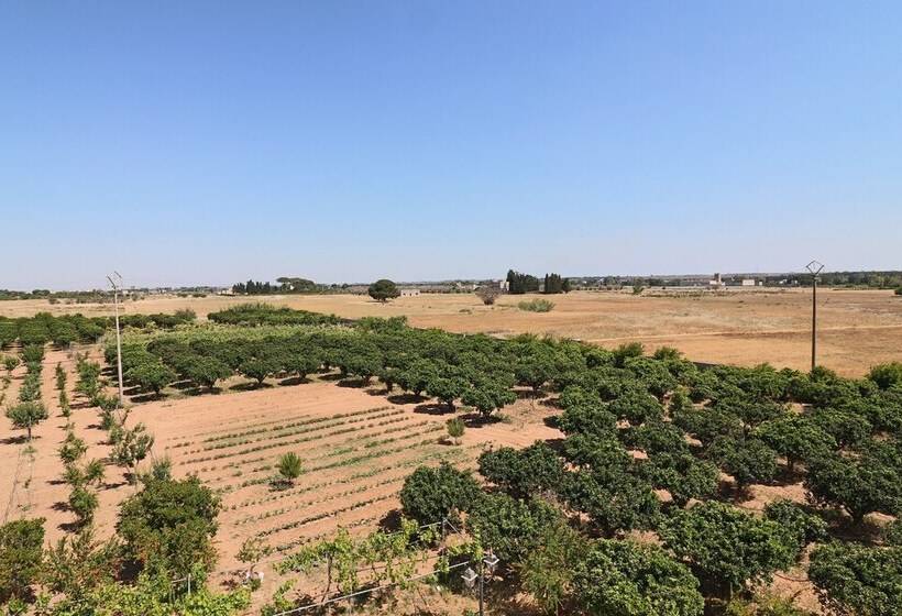 פנסיון B B With Swimming Pool Tenuta Agrumi Del Salento Triple Deluxe Citrus Attic