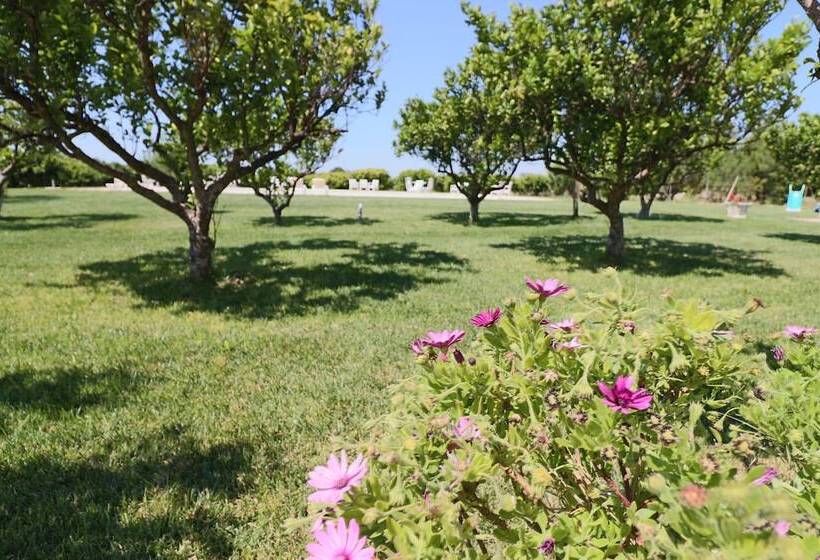 פנסיון B B With Swimming Pool Tenuta Agrumi Del Salento Triple Deluxe Citrus Attic