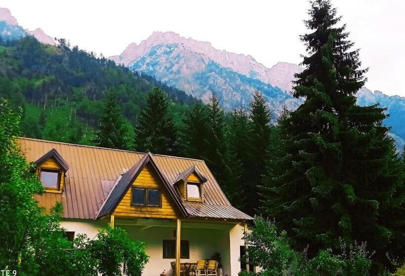 펜션 Bujtina Albjoni