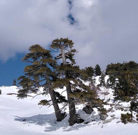 Пансион Dimora Del Corso
