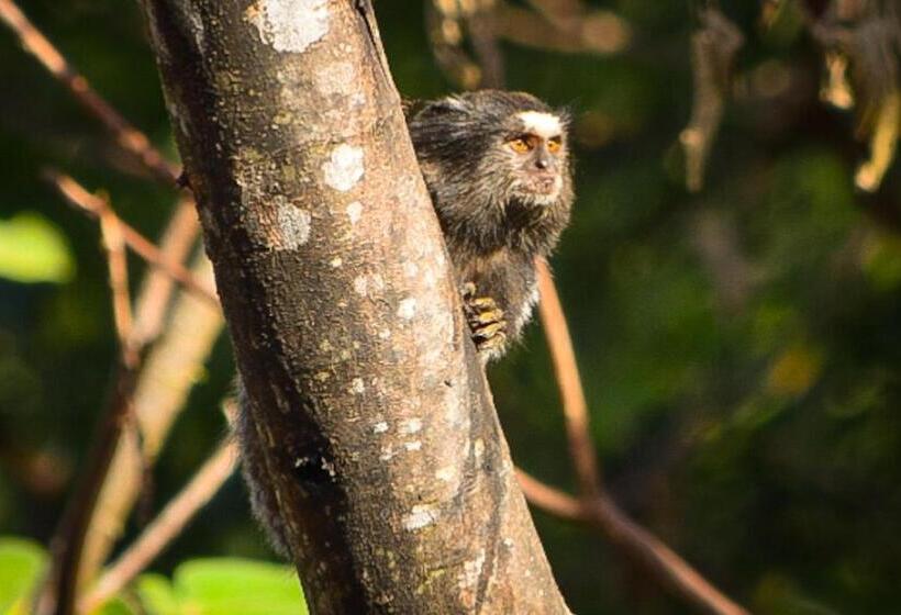 بنسيون Espaço Vilarejo Pousada