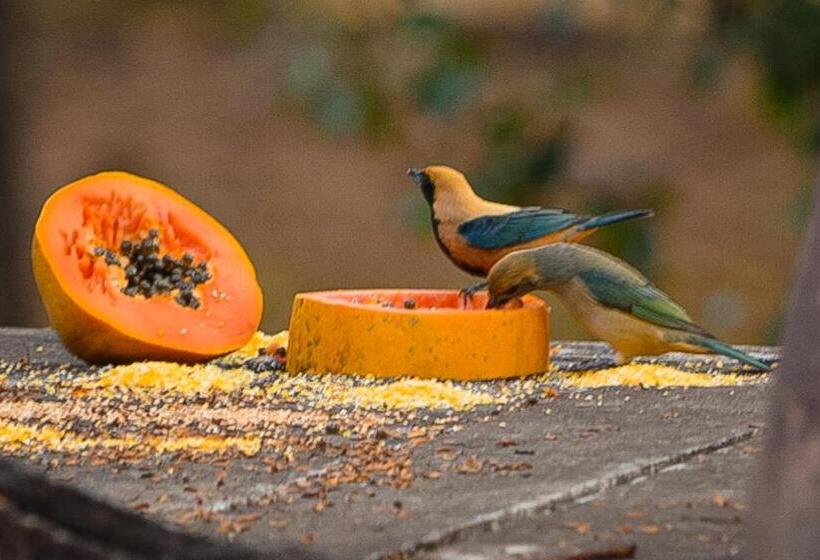 بنسيون Espaço Vilarejo Pousada