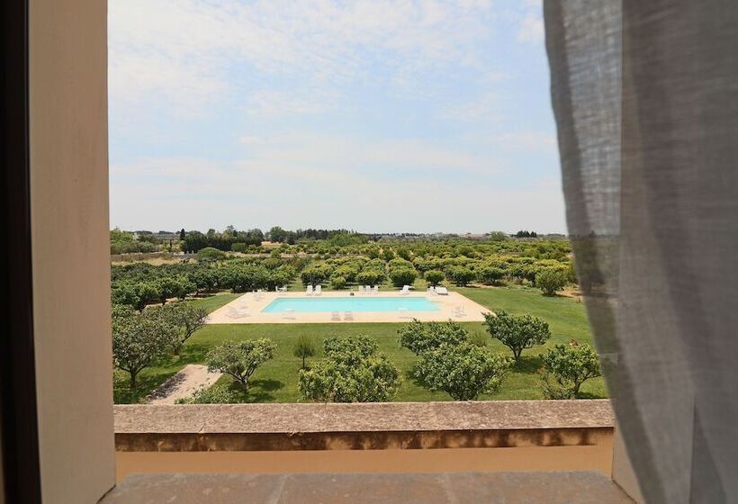 بنسيون Triple Superior Red Orange