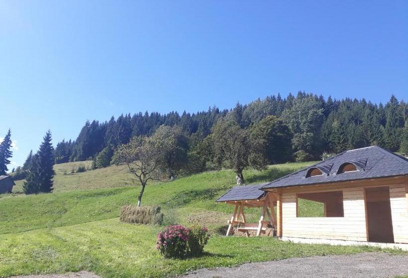 Pensiunea Casa Fierarul Din Bucovina