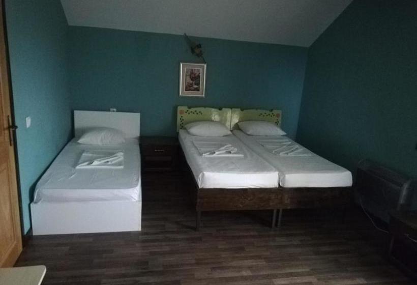 Pensiunea La Felinare Mahmudia