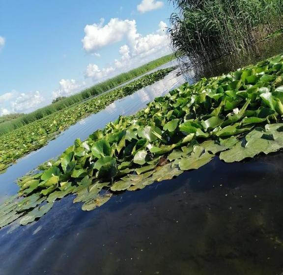 Pensiunea La Felinare Mahmudia