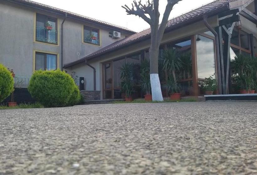 Pensiunea La Felinare Mahmudia