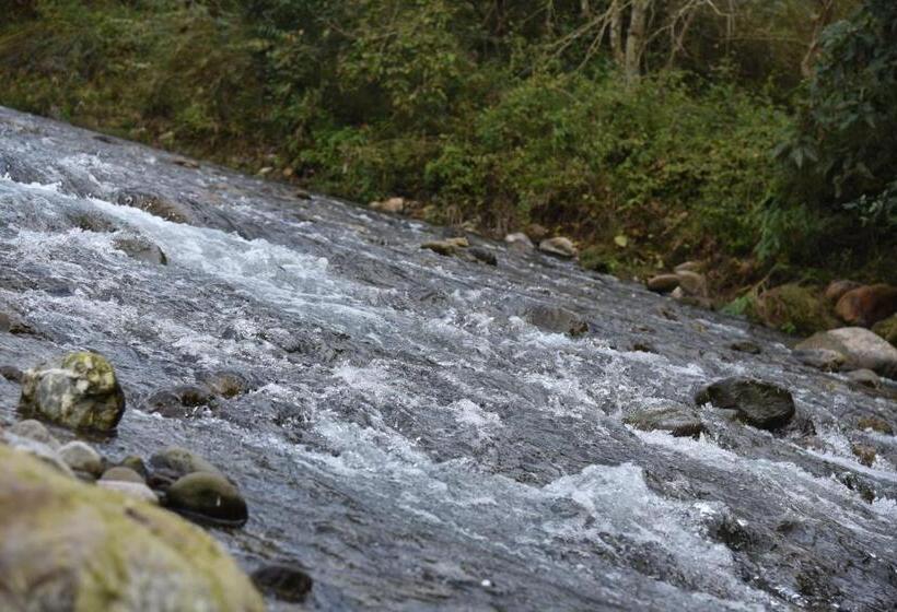 리조트 Tree Of Life Vanvilas Riveredge Corbett