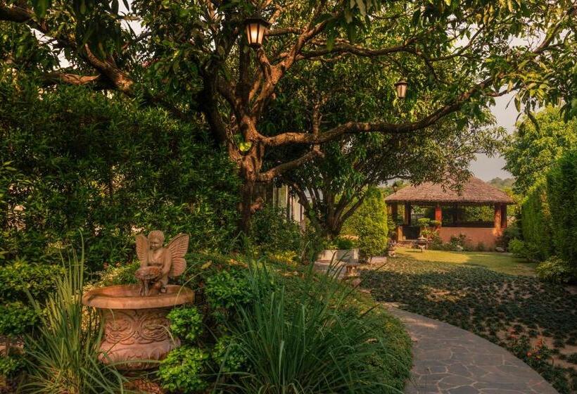 منتجع Tree Of Life Vanvilas Riveredge Corbett